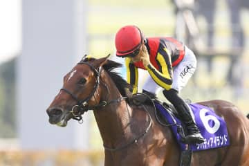忘れえぬ、自由奔放な女王 3冠牝馬リバティアイランドが予後不良で安楽死処置