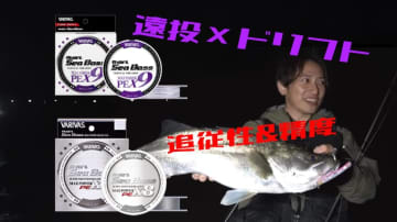 【PEラインに悩まない！】新拓也が見せるテクニカルシーバスゲーム！釣り方に合わせたベストなPEは？