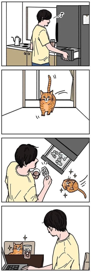 氷の音でスイッチの入る猫もいる【男の猫道】ねこのきもちWEB MAGAZINE限定話 vol.207