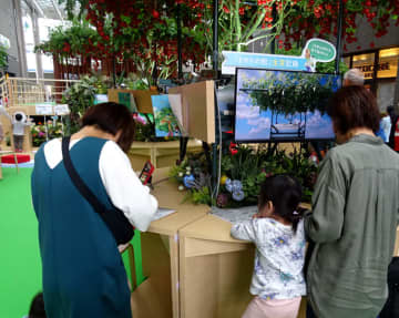 カゴメ 「植育」体験型イベント  都会っ子、デジタル離れ野菜収穫を！