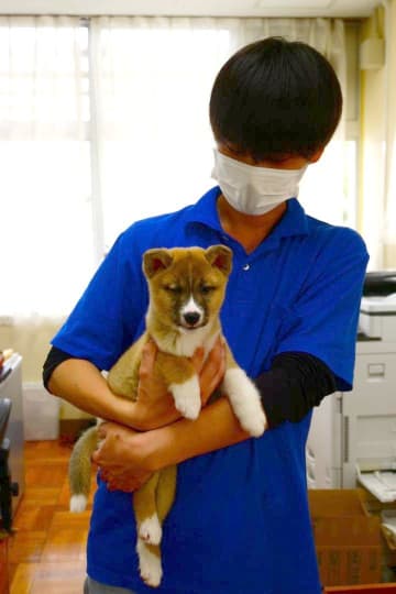 《連載:自律　茨城・水戸市中核都市5年》(中)　動物愛護　啓発進む　教員研修、独自に展開