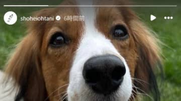 「デコ兄！」「サマーカットしたの？」大谷翔平、デコピンの最新“癒やし”ショット公開