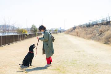 夫の急逝で書けなくなった小説家と不慮の事故で引退を余儀なくされた盲導犬　一人と一匹が出会い起こったこと