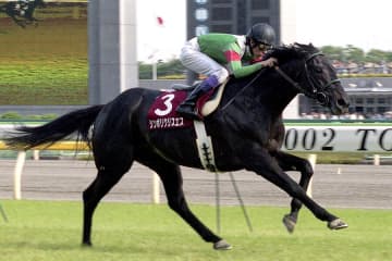 シンボリクリスエス「最強を見せつけて引退した漆黒の帝王」【もうひとつの最強馬伝説】