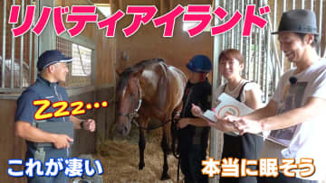 【沢山の感動をありがとう】リバティアイランドが可愛すぎた 夏休みSP 取材中にウトウトZzz