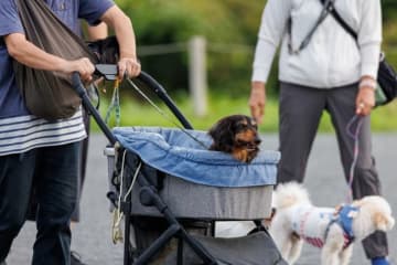 ペットを飼っている人に言うべきではない『5つの言葉』とは？何気ない言葉が相手を傷つけているかも…