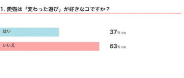 「変わった遊び」が好きな猫の実態を調査！　遊び方からわかる猫の性格、心理を獣医師が解説