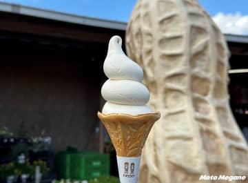 千葉県の名物ソフトクリームがうますぎる！ピーナッツ香る「道の駅グルメ」が大人気！