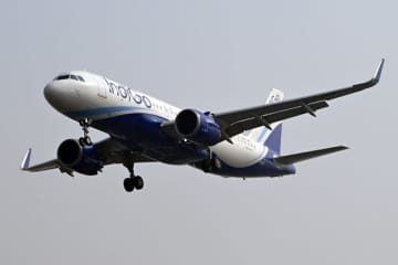 「フライト中ずっとかゆくて…」機内に発生した蚊に、乗客がイライラ→SNSの投稿に航空会社が返信