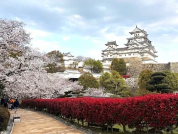 【姫路】GWお勧め！爆上がりする前に訪れたい世界遺産・姫路城のお得な周り方はコレ！