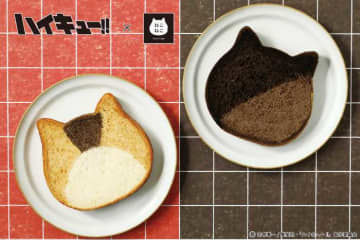アニメ｢ハイキュー‼｣と初コラボ♡『ねこねこ食パン』などコラボアイテム&グッズが登場