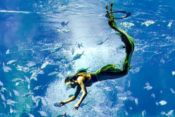 人魚パフォーマンスをしていた女性が溺れる、原因に関するコメントめぐり施設側がおわび―中国