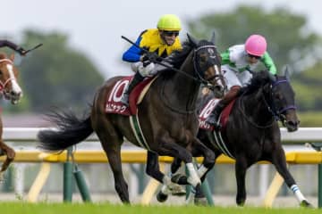 【フローラS】シュタルケ騎乗 カムニャックが快勝