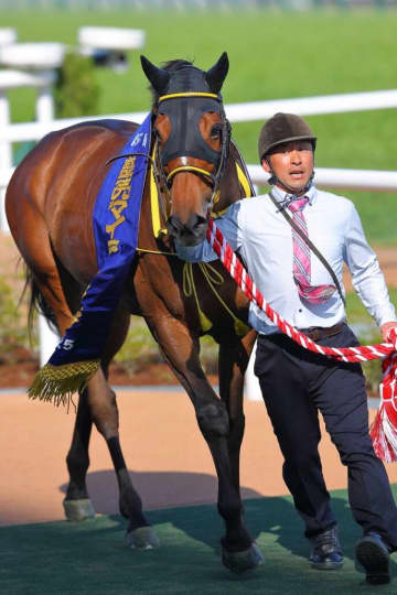 【マイラーズC】岩田康「今が絶頂期」ロングランが重賞連勝