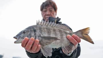 【釣り百景】“かかり釣り”でベテランが狙うクロダイ。良型サイズを目指した行方は？