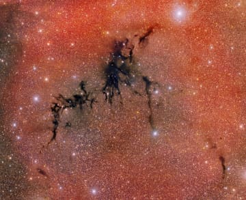 まるで暗黒の亀裂　若い星々を育むコンパス座の分子雲【今日の宇宙画像】