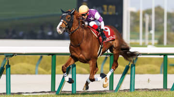 【天皇賞（春）】「阪神大賞典1着」が最多4勝　データはサンライズアースを後押し