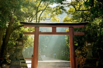 『神社に行ってはいけない日』とは？いつ？縁起の良い参拝日も解説