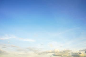 【一人旅】歴史と春風をたどって、のんびり東京さんぽ・後編