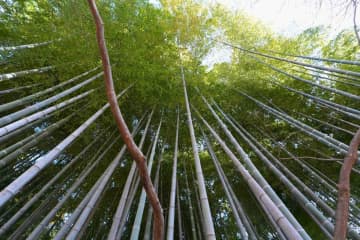【25年最新】GWは東京で静かに過ごそう！都内の穴場スポット5選