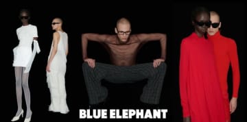 韓国発アイウェアブランド「BLUE ELEPHANT」日本進出を本格スタート