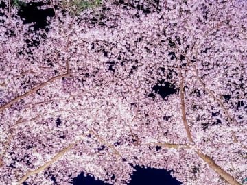「う、美しい」「ロマンティック」　『場所は非公開』の絶景がこちら！