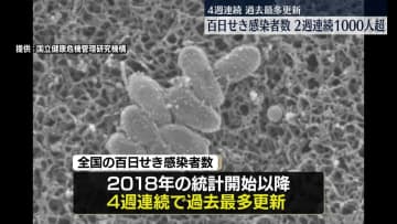 【速報】百日せき感染者数1884人　2週連続で1000人超え　過去最多更新