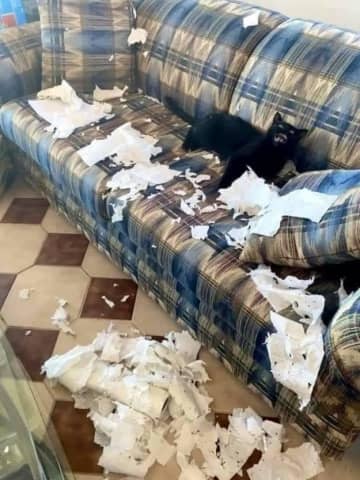 【画像】完全に詰んだ…。どうしようもない状況に陥った8人