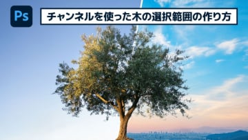 【簡単なのにすごい! Photoshop 1分講座】チャンネルを使って、複雑な木でも楽に選択範囲する方法