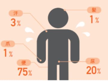 「デトックス＝毒出し」って本当？人体が持つ本来の“解毒力”とは【眠れなくなるほど面白い 図解 デトックスの話】