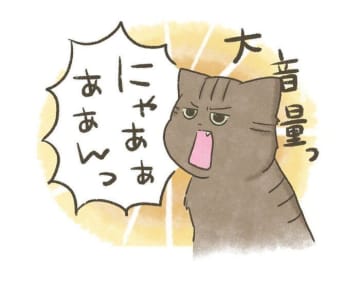 愛猫のトイレ前の雄叫びはなぜ？愛猫の不思議な行動に迫る【連載】交通事故にあった猫を拾いました#207