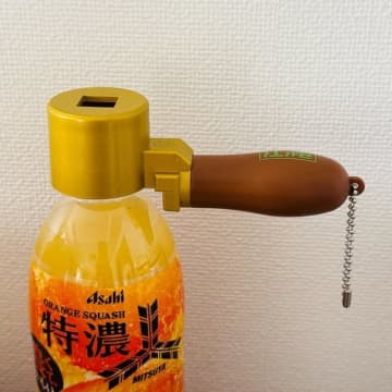 だいたひかる、蜂窩織炎の症状が出たときにすごく助かったアイテム「夫を起こすのも悪いと思い」