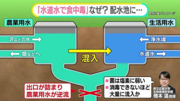 水道水で“食中毒”　「消毒しきれないほど大量に」…汚染された水、なぜ混入？　ほかの場所でも起きる？【#みんなのギモン】
