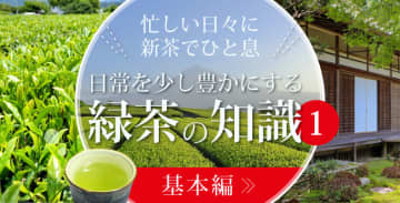 忙しい日々に新茶でひと息、日常を少し豊かにする緑茶の知識①　基本編