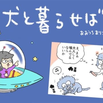 犬と暮らせば【第487話】「消えたネギ②」