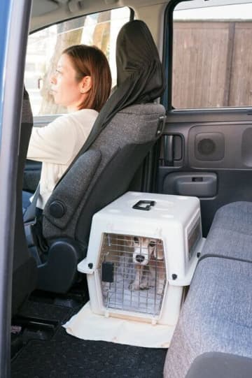 愛犬の車移動をもっと安全に！快適に過ごすための工夫と正しい「のせ方」