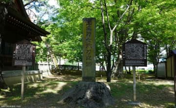 武田信玄の影武者を務めた弟「武田信廉」 画家としての才能も発揮した武将