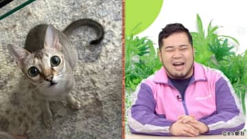 テレビ史上初（!?）の情報番組「ネコいぬワイドショー」で松井ケムリのネコ愛さく裂！