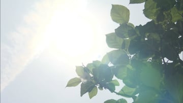 【過去最多】去年夏の熱中症救急搬送人数が7993人…半数以上が高齢者　気温28度以上・湿度50～80％で増加傾向に　東京消防庁