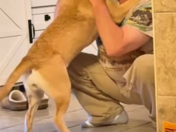 「犬は飼わないぞ」といっていた夫　帰宅すると真っ先に…？「笑った」