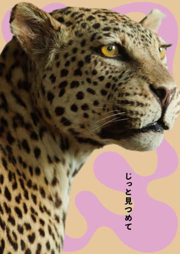 “かはく”とのコラボによる動物がテーマの展覧会「どうぶつ展 わたしたちはだれ？ どこへむかうの？ ～WHO ARE WE?  WHERE ARE WE GOING?」が立川『PLAY! MUSEUM』で開催中