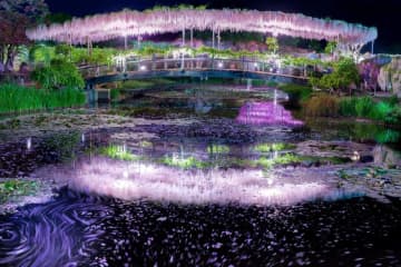 GWに行きたい百花繚乱の楽園！あしかがフラワーパーク「ふじのはな物語～大藤まつり2025～」開催中