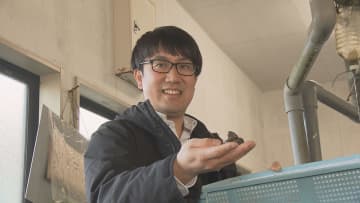 奇跡の親貝が照らす復活への道「もう一度、三陸翡翠あわびを届けたい」父から息子へ受け継ぐ不屈の精神、5億円の被害からの挑戦【岩手発】