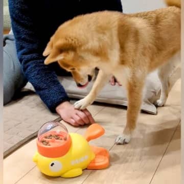 押したらオヤツが出るおもちゃに犬が苦戦していたら…まさかの『協力を仰ぐ光景』が癒されると192万再生「ちょんってするの最高ｗ」と絶賛