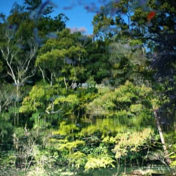 市原隼人がナレーションを担当、2025地方競馬ダート新体系プロモーションCMで流れる曲は?