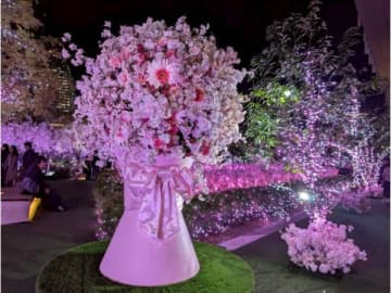 【名古屋駅】まだ間に合う！今年ラストのお花見へGO！