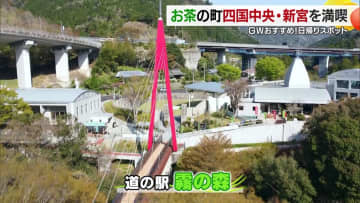 四国でも有数のお茶の産地・愛媛県四国中央市の新宮でお茶の魅力を堪能　穴場のパワースポットも！【愛媛発】