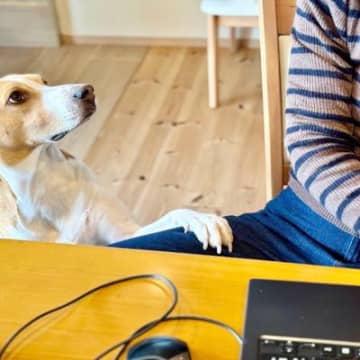 犬が何かを伝えようとしているサイン8つ　愛犬からの可愛い要求にどう応えたらいい？