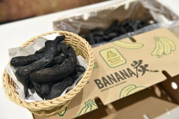 規格外バナナ、炭に加工し販売　果物大手ドール、BBQで利用を