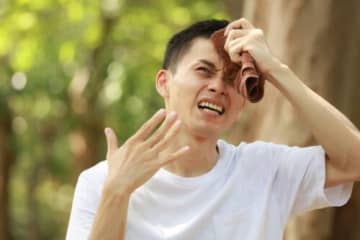 日本で『一番暑い場所』は沖縄県じゃなかった！？40℃超えを観測した地域とは？